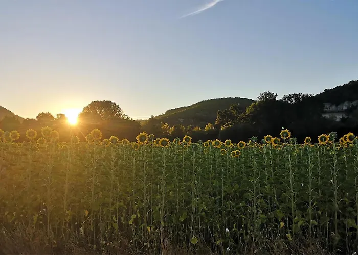Cozy In Holiday home